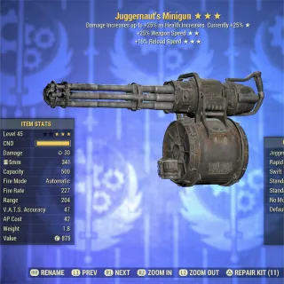 Juggernaut FFR FR Minigun 