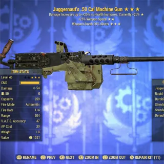 Juggernaut FFR Durability  .50 Cal Machine Gu