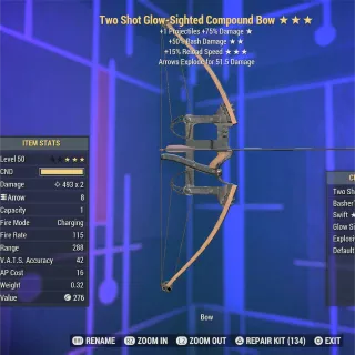 TS Bashing FR Compound Bow 