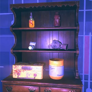 6 x DISPLAYABLE MISC Items from Pit Expedition 