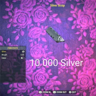 10 000 Silver scrap 