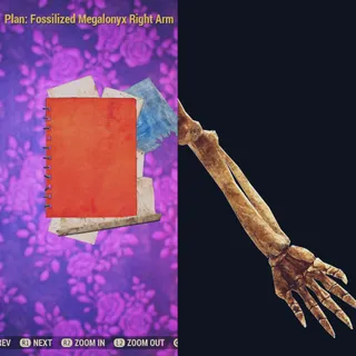 Fossilized Megalonyx Right Arm 