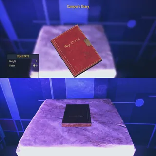 Camper Diary  Visible Misc Item 
