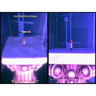 Feral Ghoul Blood Sample Visible Misc