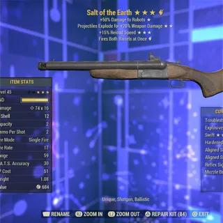 Salt of the Earth Rare Weapon 