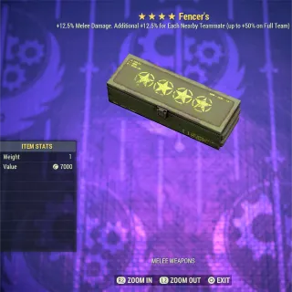 Fencer Mod Box 