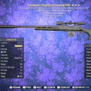 GourE25 Hunting Rifle 