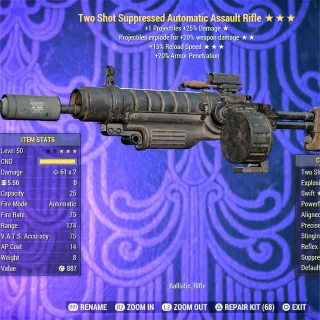 TSE FR Assault Rifle 