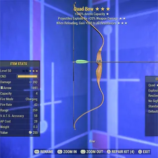 QE 500 Bow 