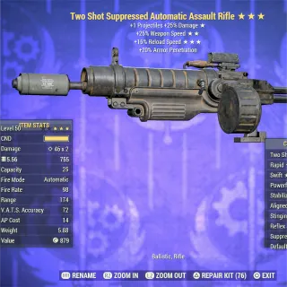 TS FFR FR Assault Rifle AR