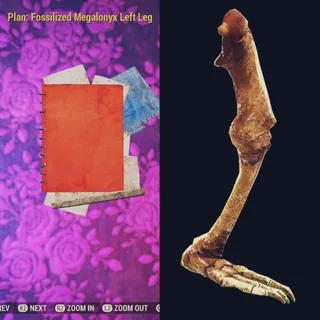 Fossilized Megalonyx Left Leg 