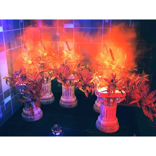 5 x Moist Radkelp Visible Misc 