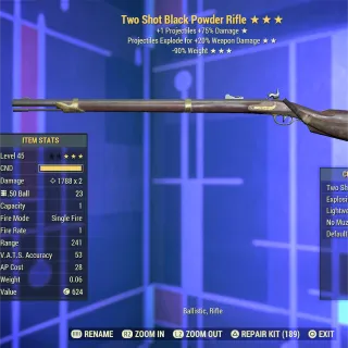 TSE RW Black Powder Rifle 