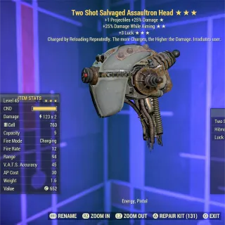 TS DWA 3L Assaultron Head 