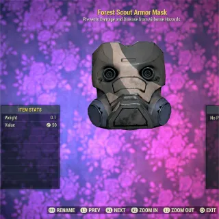 Forest Scout Armor Mask  FSA