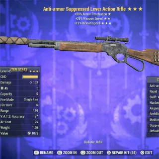 AA FFR FR Lever Rifle 