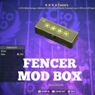 Fencer Mod Box 