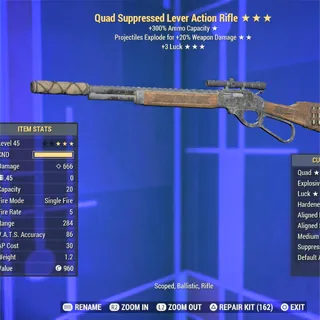 QE 3L Lever Rifle 