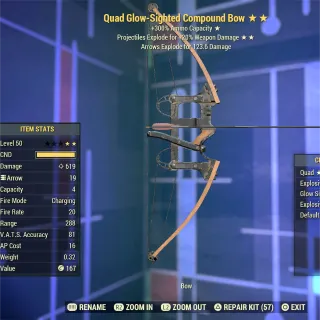 QE Compound Bow 