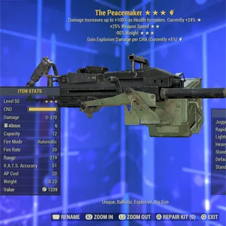 The Peacemaker 