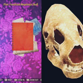 Fossilized Megalonyx Skull 