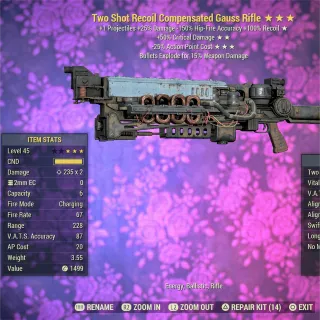 TS 5035 Gauss Rifle 