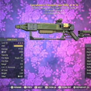 Executioner FFR FR NU Laser Rifle 