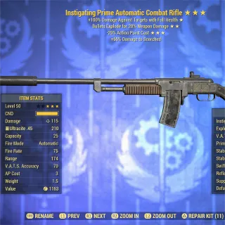 IE25 Combat Rifle CR 