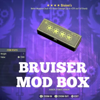 Bruiser Mod Box 