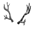 Silverthorn Antlers