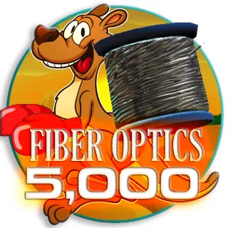 Fiber Optics