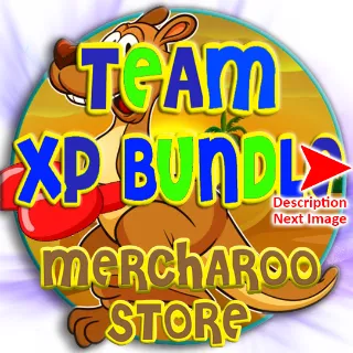 XP Bundle L