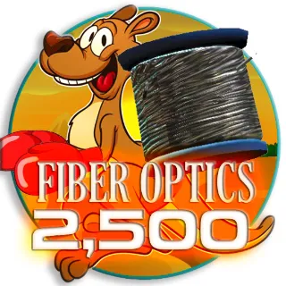 Fiber Optics