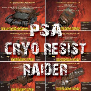 PSA Raider