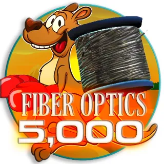 Fiber Optics