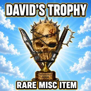 Davids Trophy - Rare Misc Item
