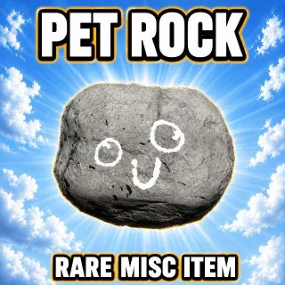 Pet Rock - Rare Misc Item