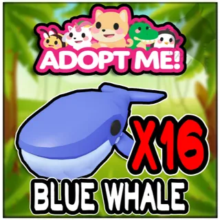 Blue Whale x16 - Adopt Me!