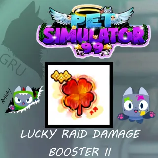 Lucky Raid Damage Booster II x100