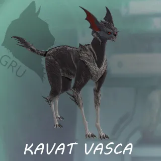 Kavat Vasca