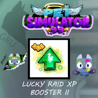 Lucky raid xp booster II x100