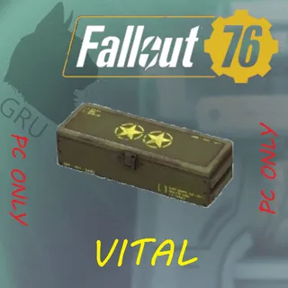 Vital Mod