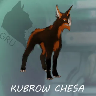 Kubrow Chesa