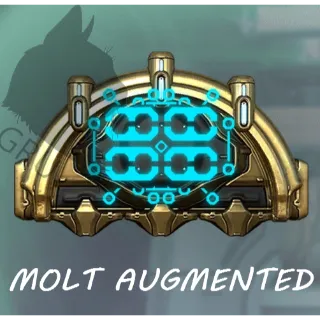 Molt Augmented