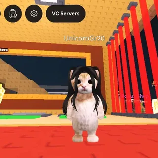 Custom Bundle For Niriko