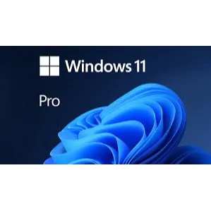 Windows 11 Pro
