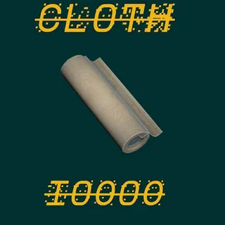Cloth