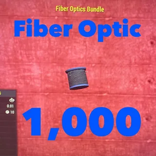 Fiber Optic