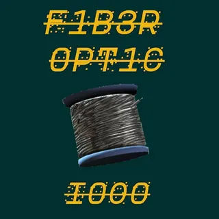 Fiber Optic