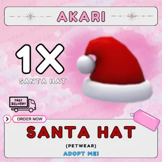 Santa Hat
